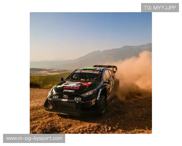 WRC动力系统革新：节能与性能的完美结合，wrc赛车动力分配